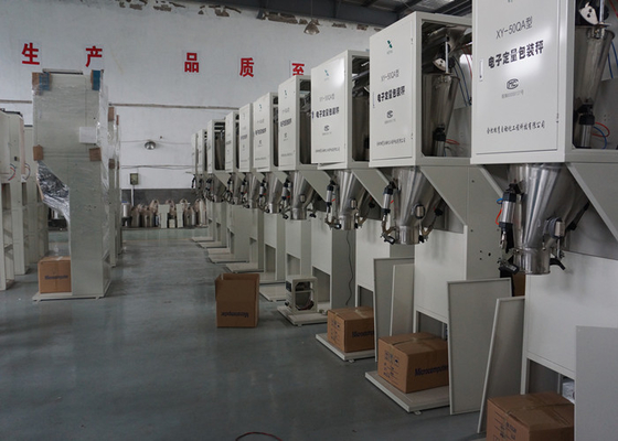 Bagger-Verpackungsmaschine Zufuhr des Edelstahls 40kg halb automatisch