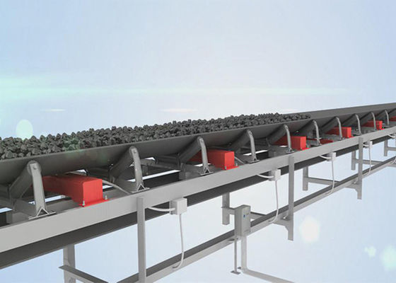 Förderband-Wäger der Geschwindigkeits-verstellbarer 10Tph 1500mm