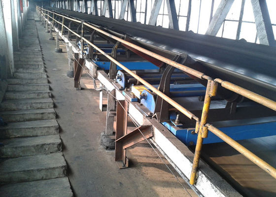 Quantitativer Gurt-wiegende Skala 50Hz 150tph 300mm