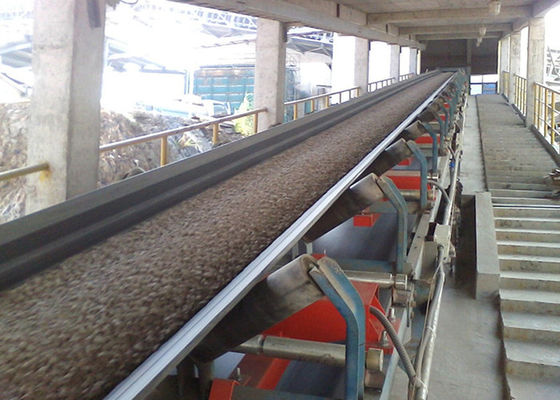 Förderband-Wäger des Nahrungsmittelgrad-220VAC 600mm in der Salzindustrie