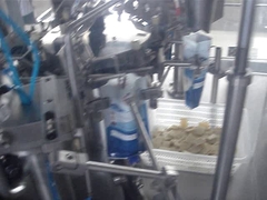 Auto Small Bag Given Packing Machine